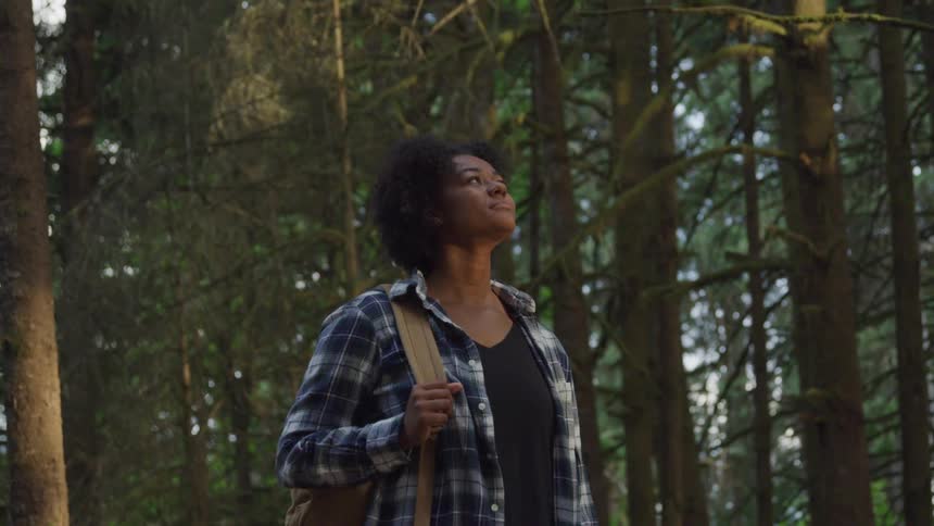 A black female hiker stands in an evergreen forest and looks up at the sky