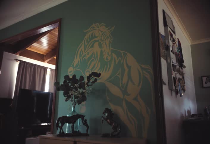 A house has horse decor and a television