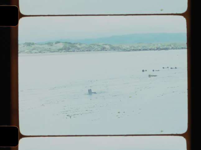 A diver descends into the still reflective water disappearing beneath the surface framed by rolling hills in the distance