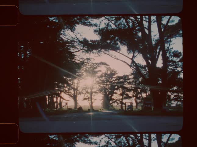 View of a road where a van passes by