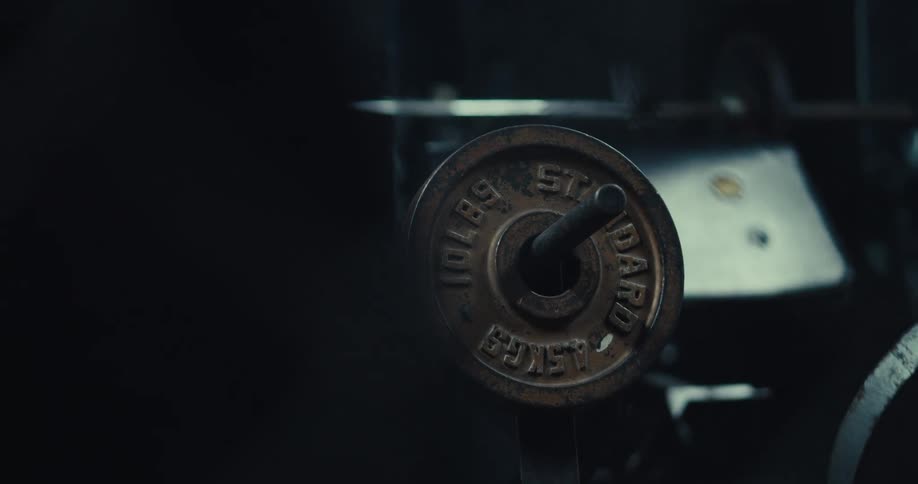 Barbell with gym weights