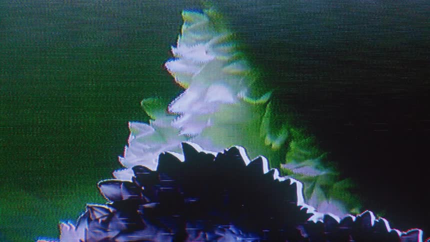 Liquid ripples behind a group of flowers lit up to create abstract art