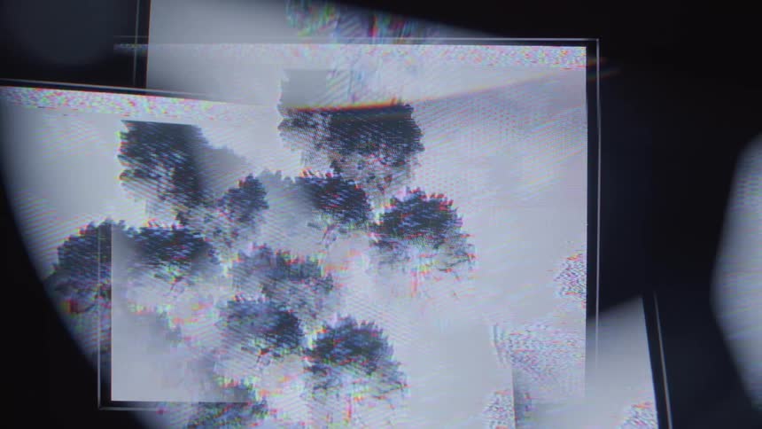 Graphic drawings of flowers in black and white on monitor