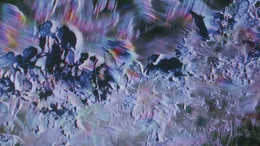 The scene with plants and grass is black and white and has weird waves going through it