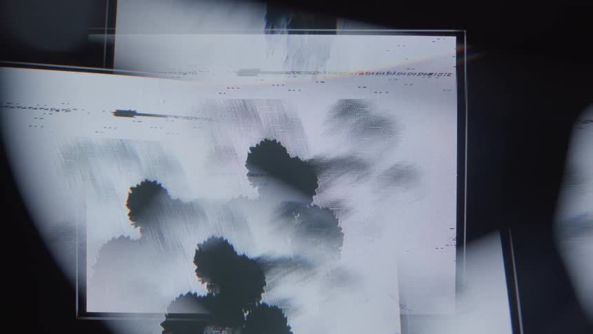 An aerial clip of a forest