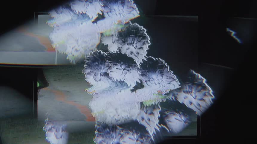 Distorted video of some blue flowers