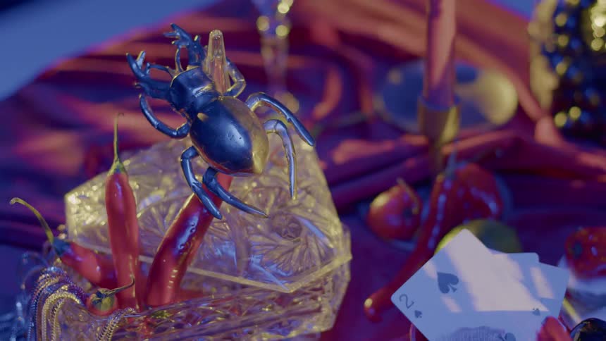 Playing cards and a toy spider are on the table