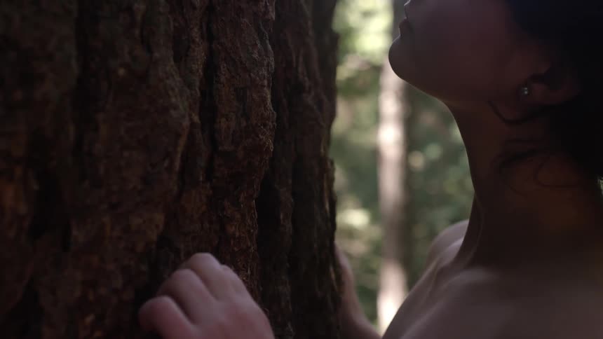 A woman is touching the side of a large tree and looking up