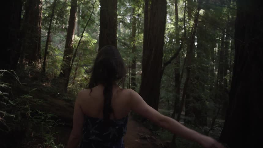 Woman walking through the forest and touching a tree