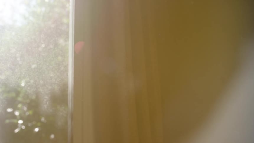 The sun shines through an old window