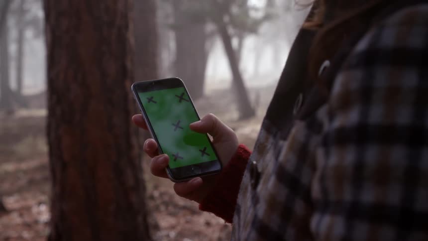 A person is using a phone in a forest