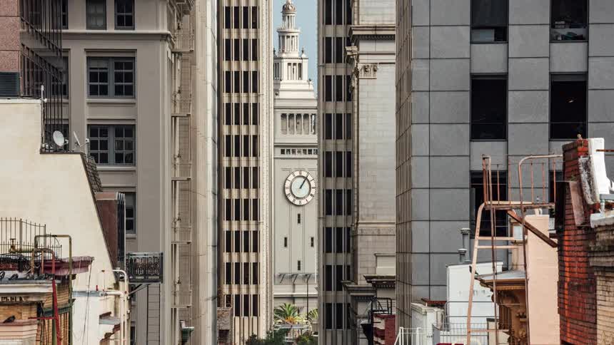 Birds fly from roof to roof on the buildings