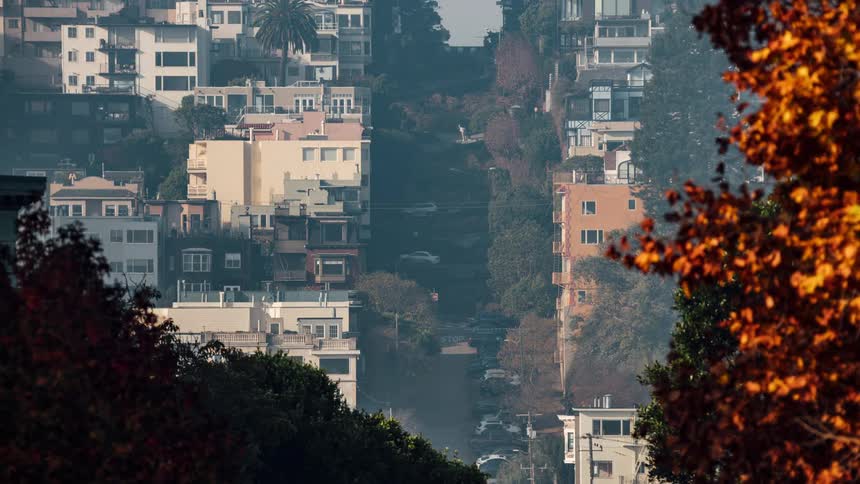 Fog shrouded san francisco street with closely packed houses viewed through autumn leaves