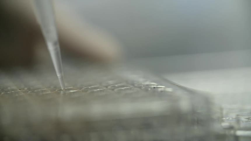 A person uses a needle to inject something into a tube