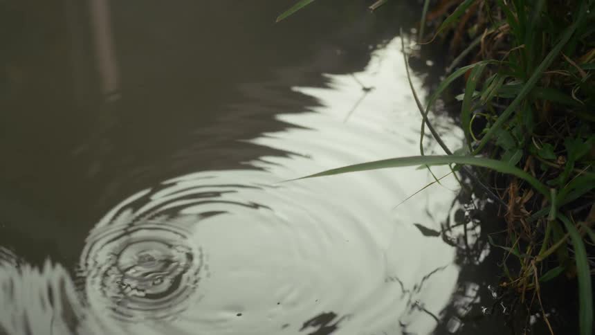 A gloved hand holds a small glass cylinder taking a sample from the murky surface of a pond reflecting its surroundings