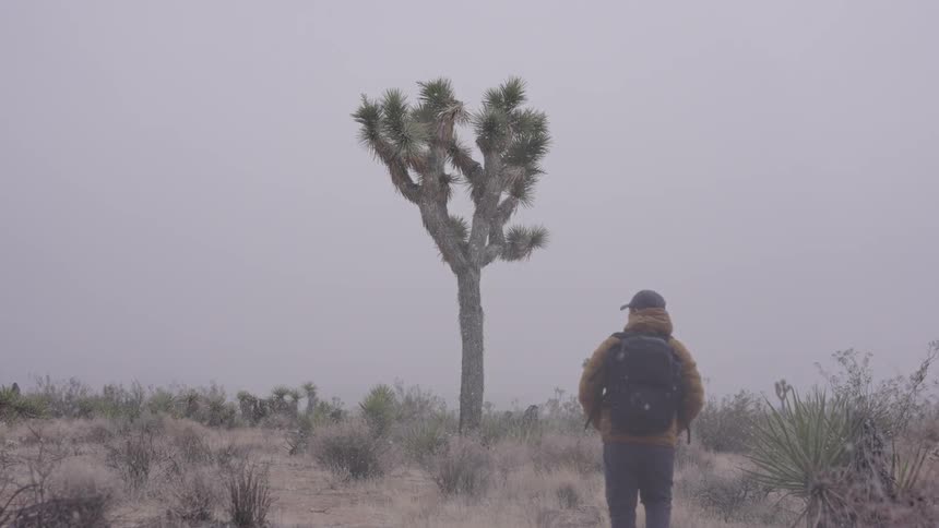A man is hiking on the field in the snow