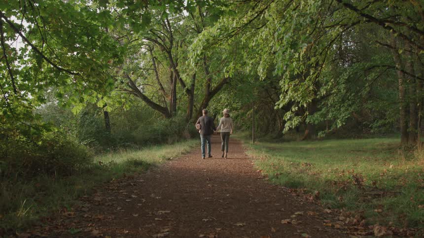 Man and woman hold hands as they walk on a trail into the woods