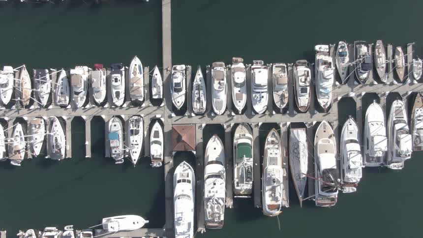 An aerial view shows numerous boats neatly docked side by side in a marina