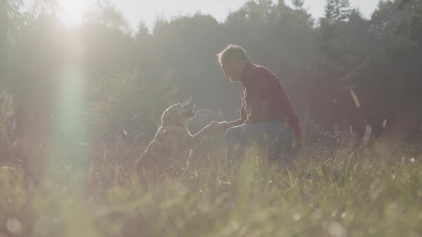 A man and a dog share a moment as the dog offers its paw in a sunlit grassland