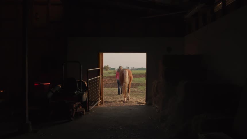 Horse coming out of a stable in the dark