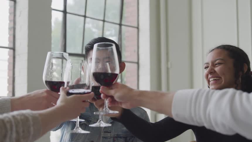 Happy group of friends toasting glases with red wine indoors