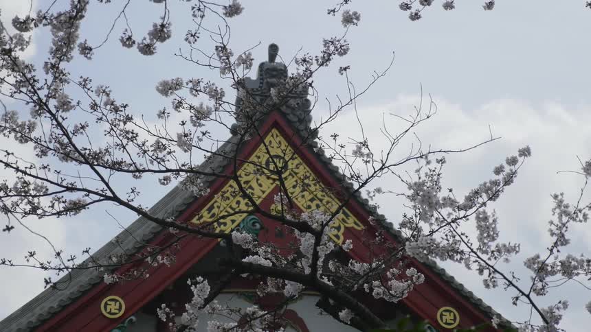 The top of this house is red and gold and in a triangle shape