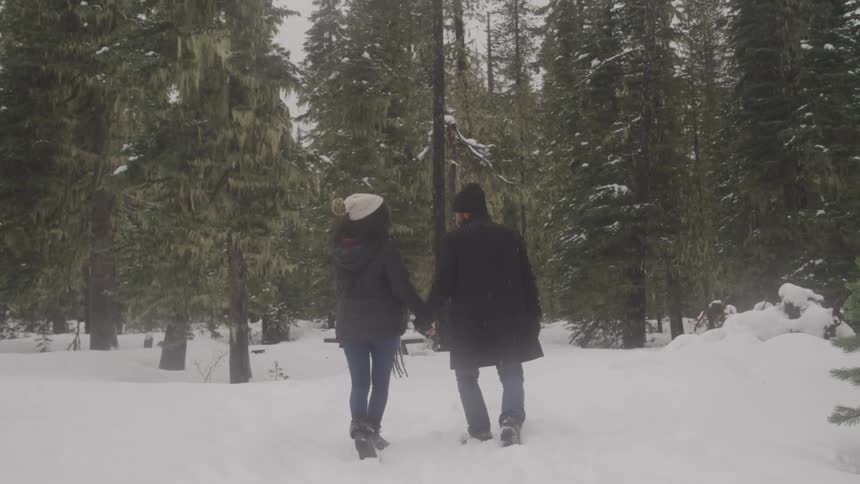 Backtoback couple walking through a snowy forest