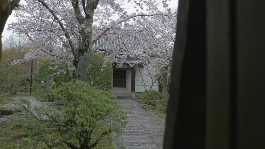 Rain falls nears trees and a building