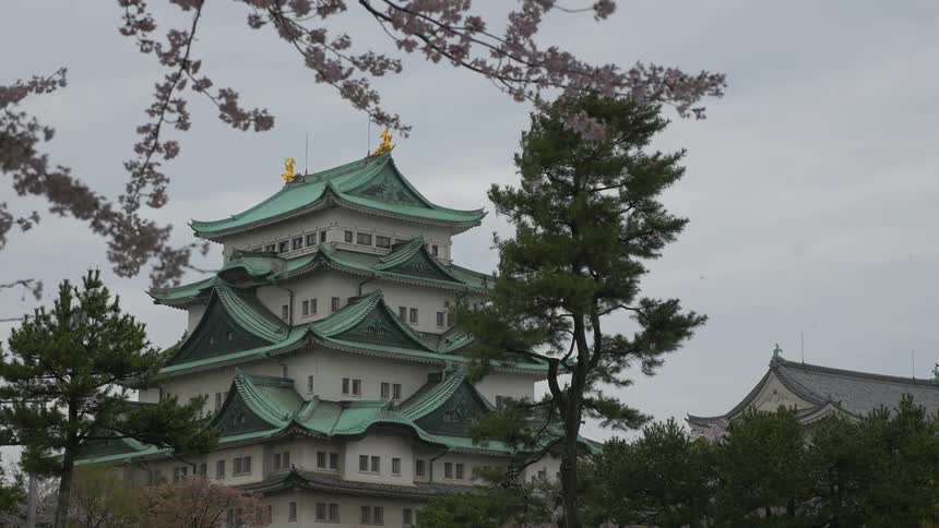 Blossoms cover a tree branch with a building standing in the distance