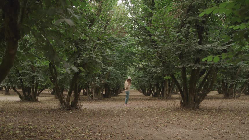 Woman stands between rows of trees in a grove on a summer day