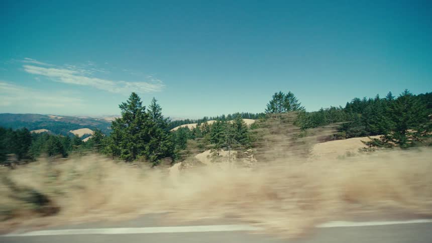 Road on the edge of a forest in the hills under a bright blue sky