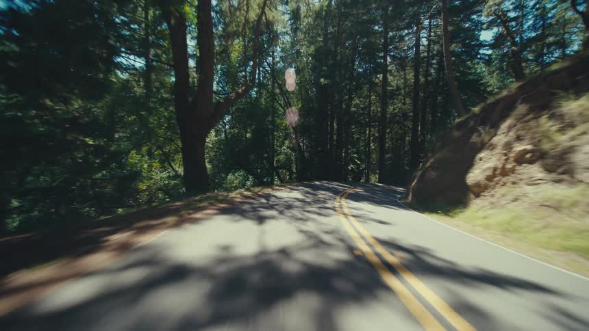 Traveling on a forested mountain road