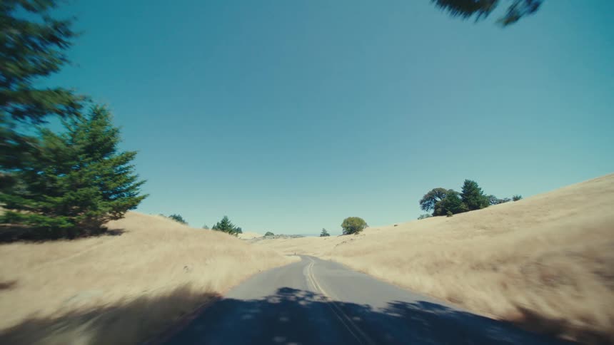 An empty road is surrounded by trees in a rural area