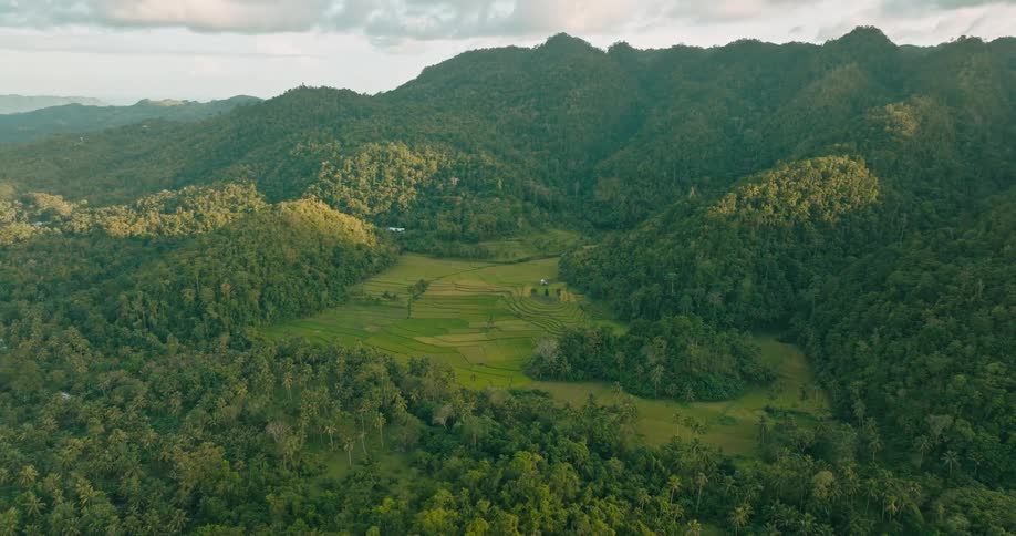 An aerial view soars over a lush mountain forest where a central clearing reveals a patchwork of tropical farmland surrounded by dense palm trees