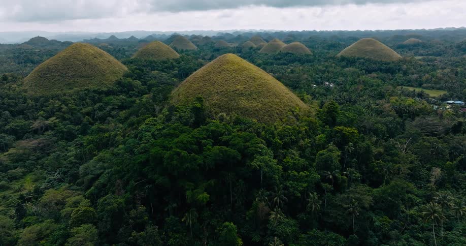Green mounds emerge from the tops of the trees in the jungle with fog rolling in behind them