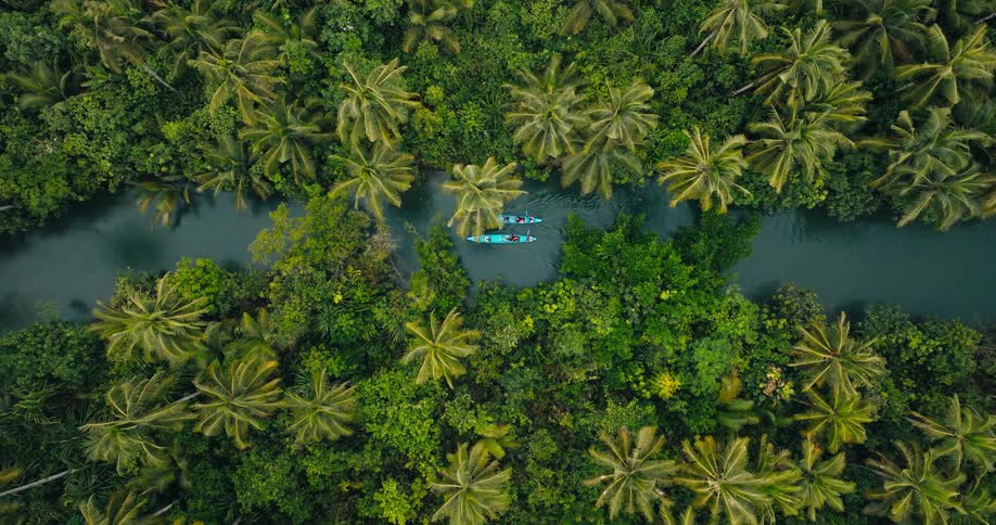 The kayaks slowly travel through the waterway in the jungle