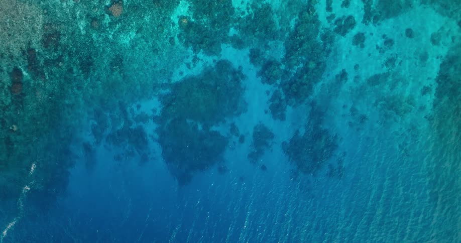 Gentle ripples roll over the clear water and coral reefs