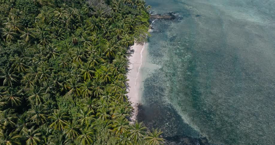 Waves roll into shore and over a tropical beach
