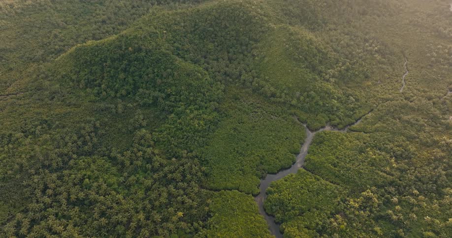 River with multiple small tributaries passes through forested hill country during the daytime