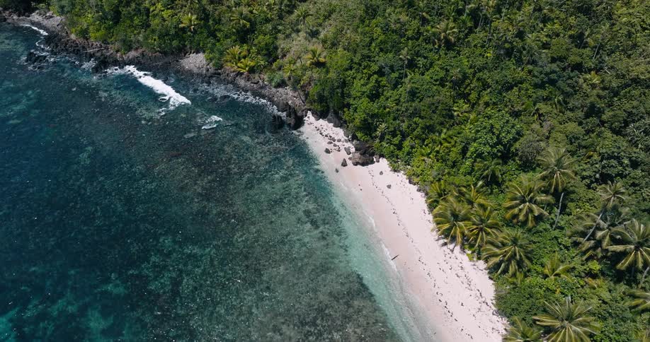 Clear waves lap the beach at the edge of the jungle