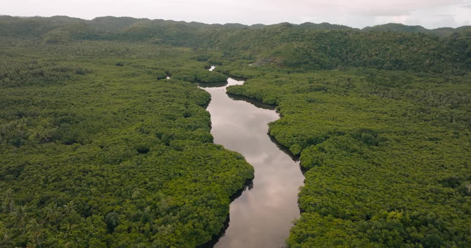 An aerial view rises above a winding river reflecting the overcast sky gradually revealing a lush treecovered mountain landscape