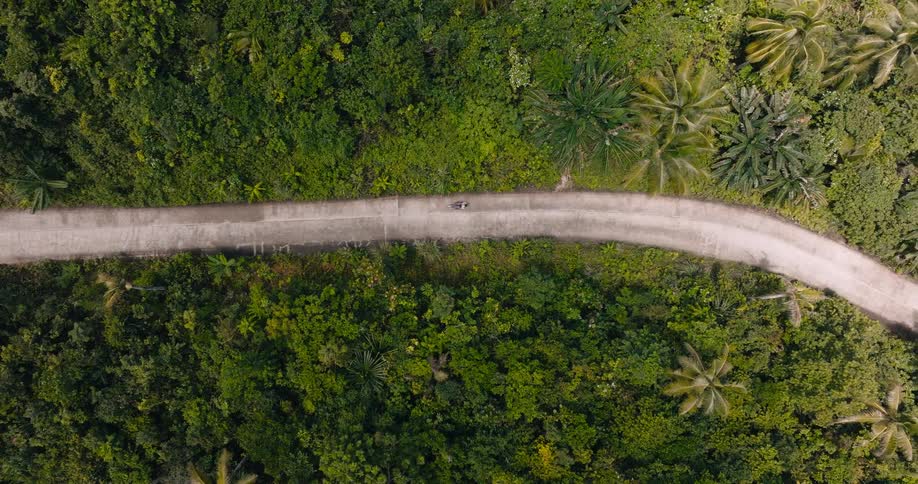 An aerial view captures a lone motorcyclist speeding down a winding rural road through dense tropical forest