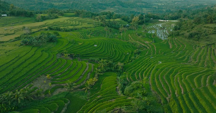 An aerial view captures expansive terraced rice fields carved into rolling tropical hills with scattered huts and patches of irrigation water across the countryside
