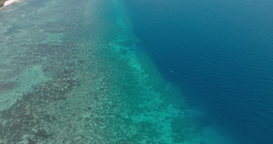 Coral is visible under clear water nearing the shoreline