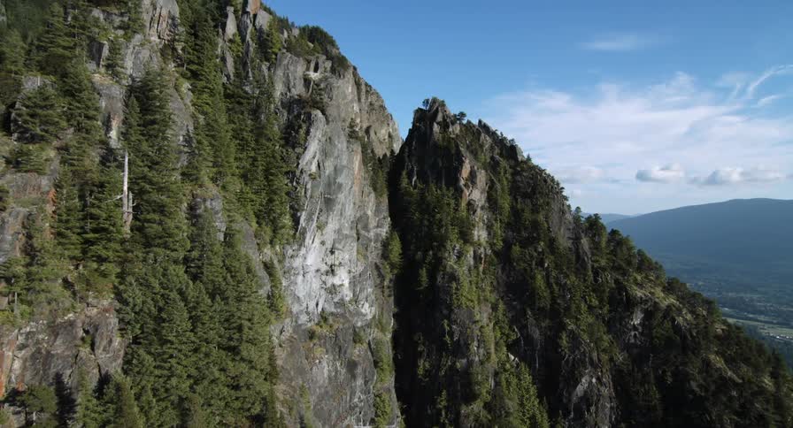 The mountain has grass on the sides and some trees