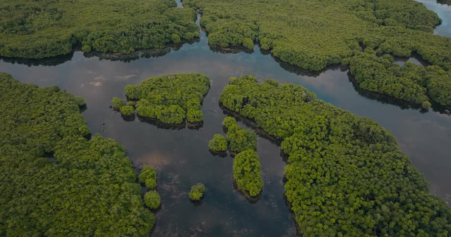Clumps of trees interrupt a clear river