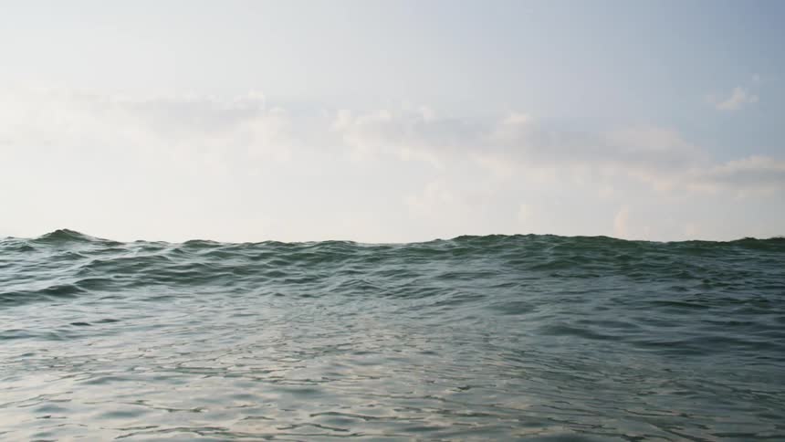 Two surfers silhouetted against a bright sky paddle out on their boards towards the horizon riding the crest of a gentle wave