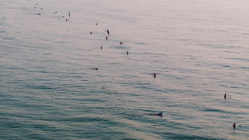 Several men are sitting on surfboards waiting for a wave