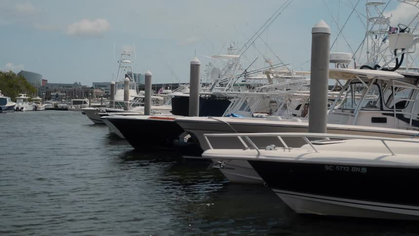 Many ships docked at a port