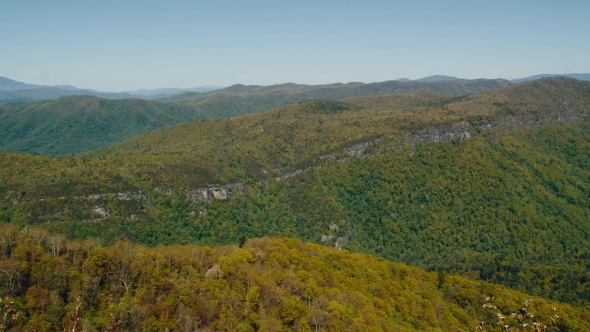 View from the top of a hill filled with vegetation